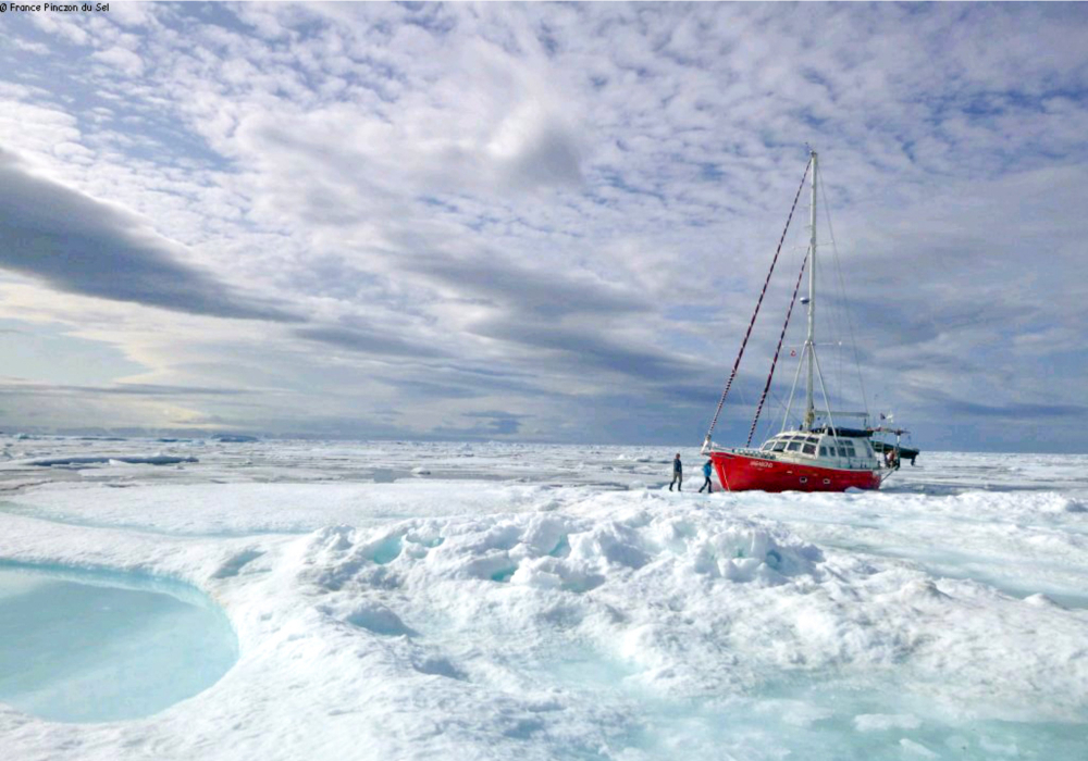 Science and adventure on the Arctic seas